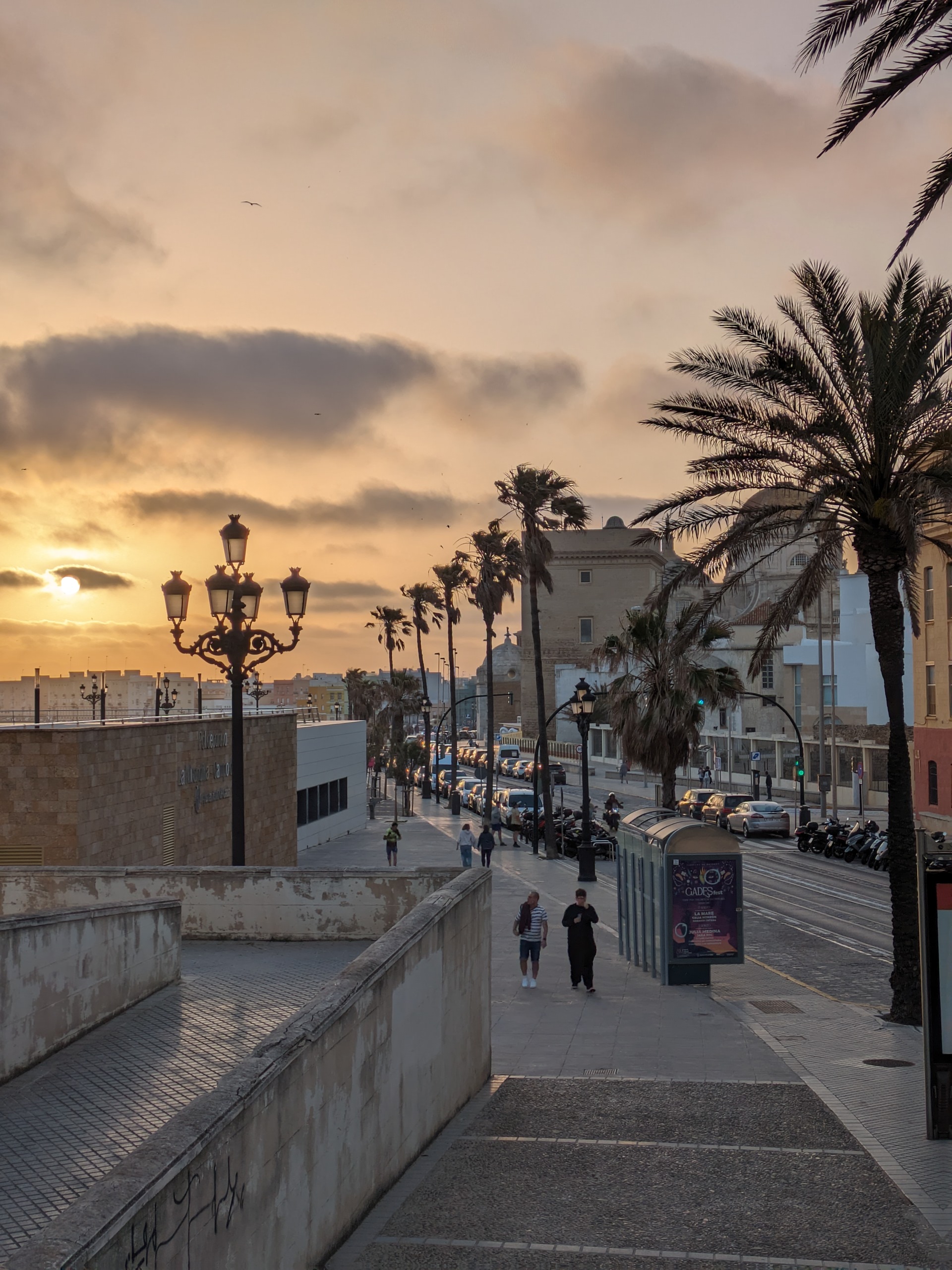 Digital Nomads enjoying sunset in Cadiz with palm trees and streetlights lining a coastal walkway