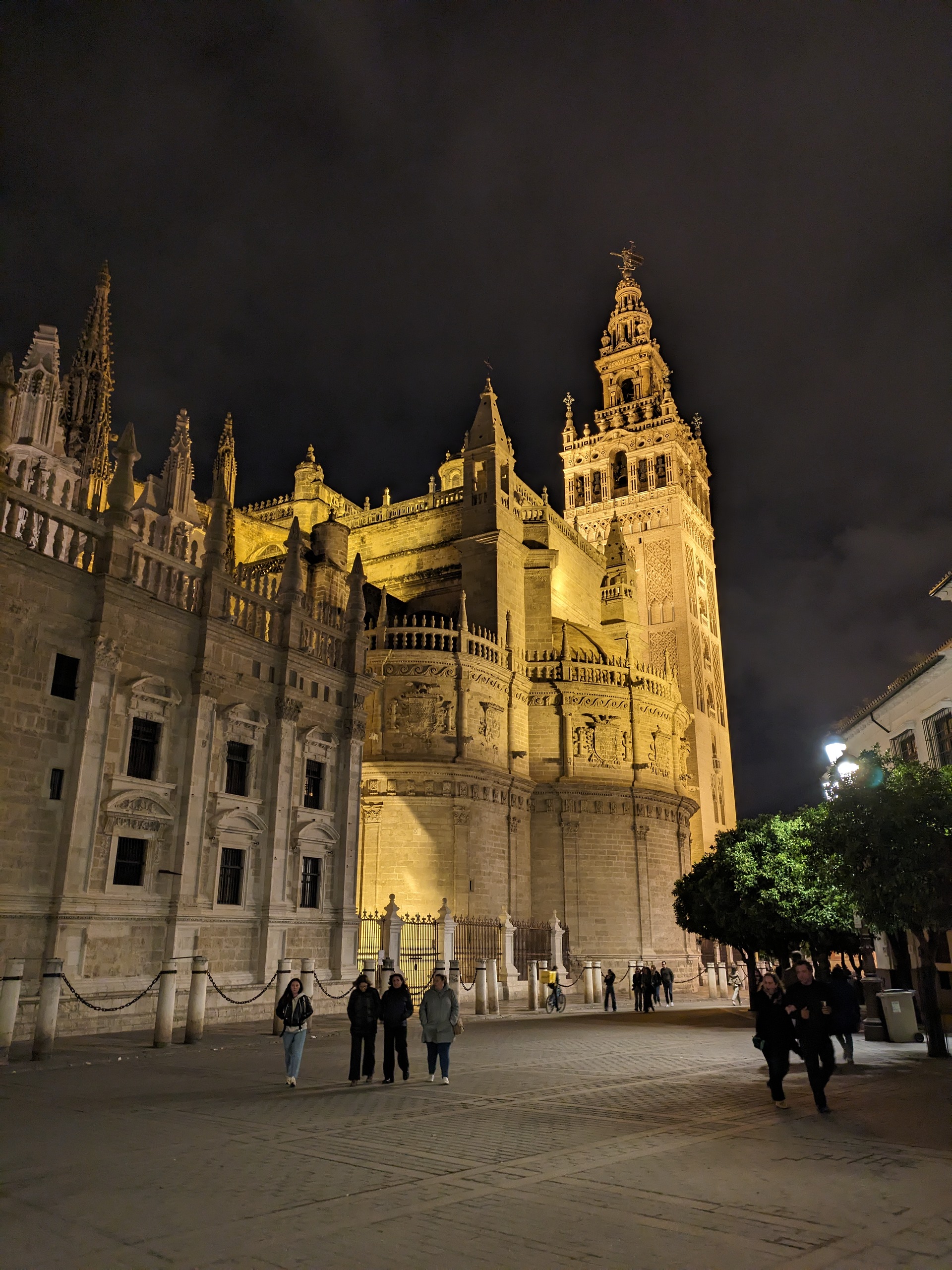 Night view of Seville Cathedral with illuminated Gothic architecture