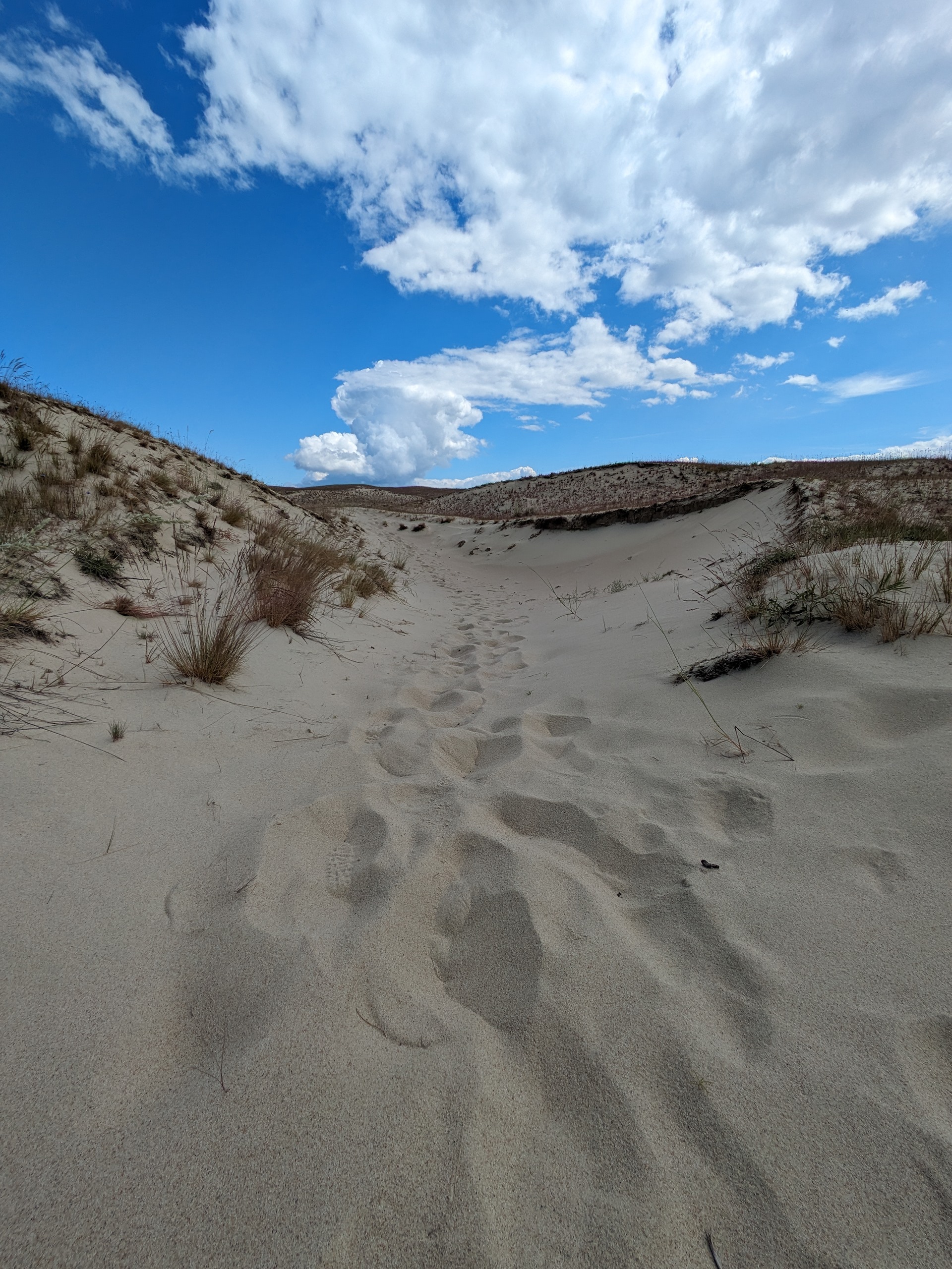 Parnidis Dune on the Curonian Spit, sandy dune landscape under a blue sky in Lithuania