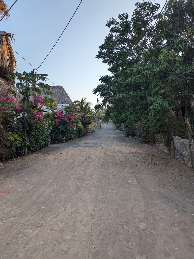Quiet dirt road lined with tropical plants, leading to remote accommodations for digital nomads in El Paredon, Guatemala.