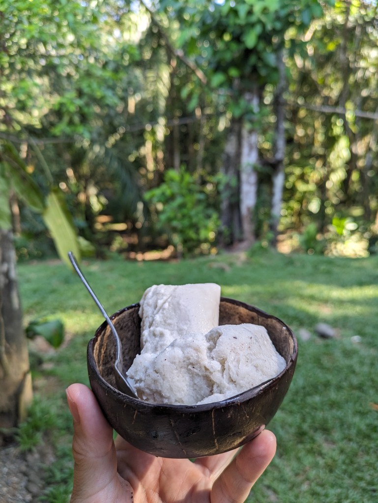Coconut ice cream in Thailand for digital Nomads - Reiseziel im Winter