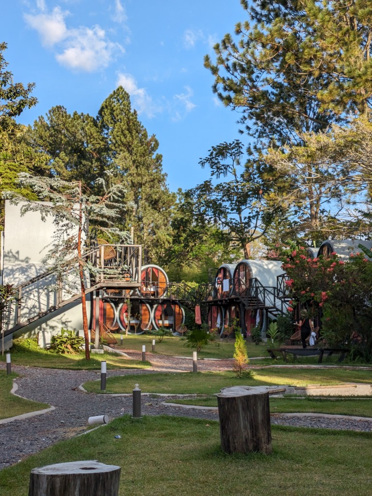 Selina: Scenic garden with rustic decor in Boquete, a peaceful retreat for Digital Nomads in Panama





