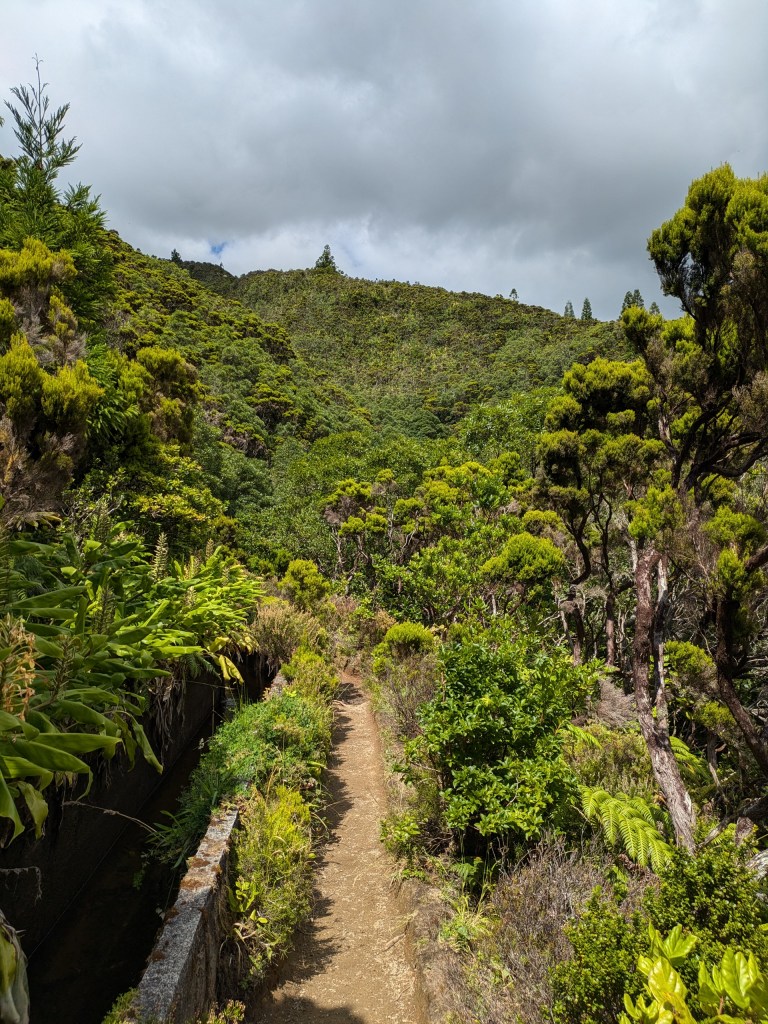 Hiking trail through lush green vegetation, a tranquil spot for digital nomads in the Azores seeking adventure in nature.