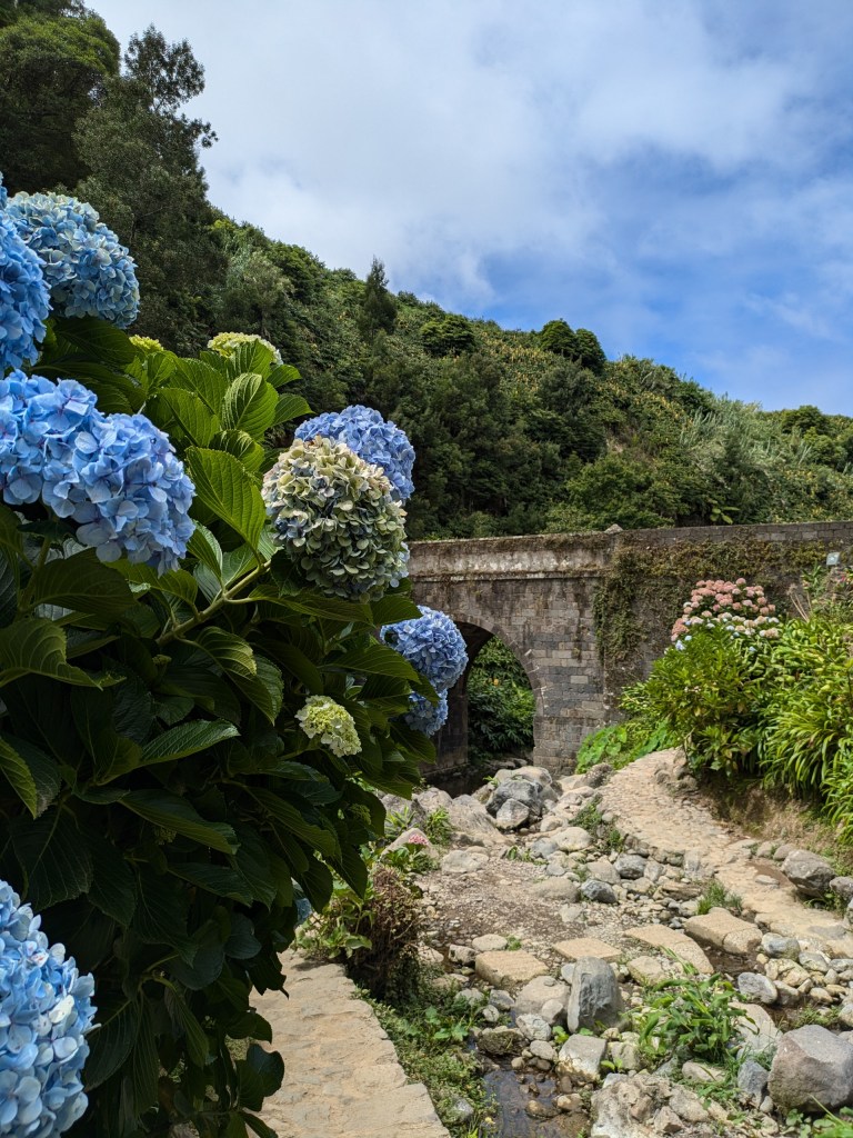 Hydrangeas in full bloom near an ancient stone bridge, a quiet retreat for digital nomads in the Azores.