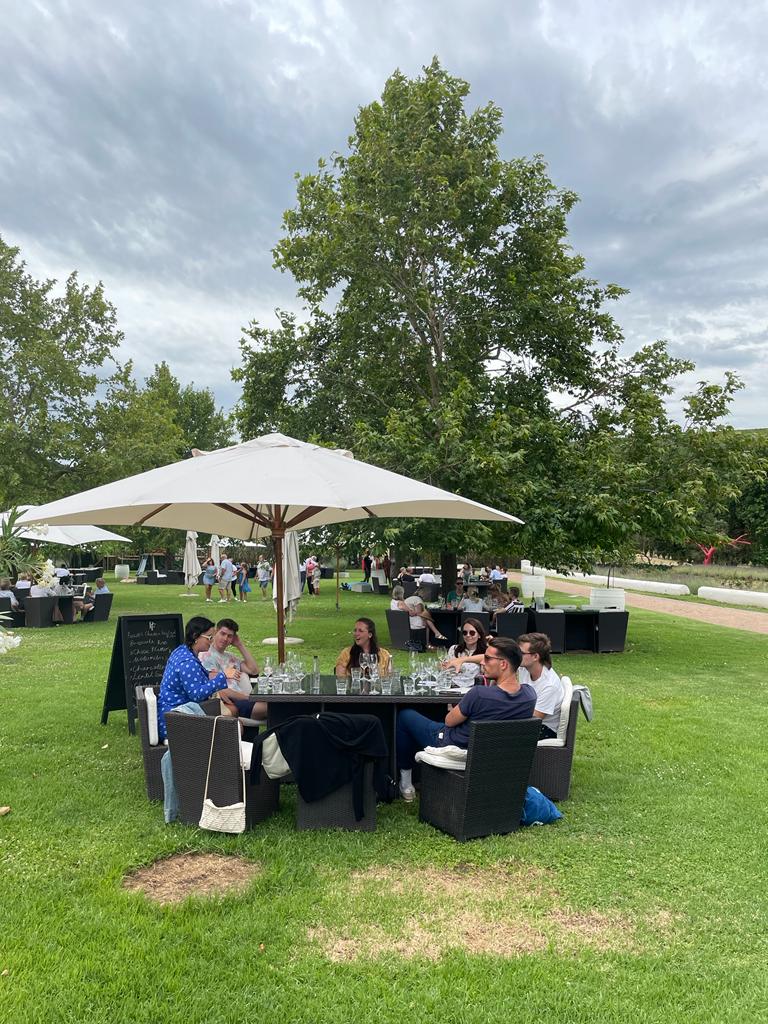 Vibrant vinyard with people enjoying drinks, a popular social spot for digital nomads Cape Town.