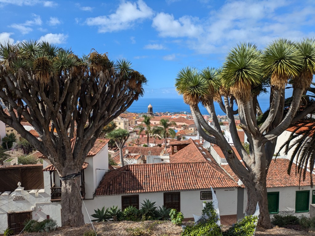 Digital nomad Tenerife Traditional Canarian architecture and lush surroundings in La Orotava's historic center