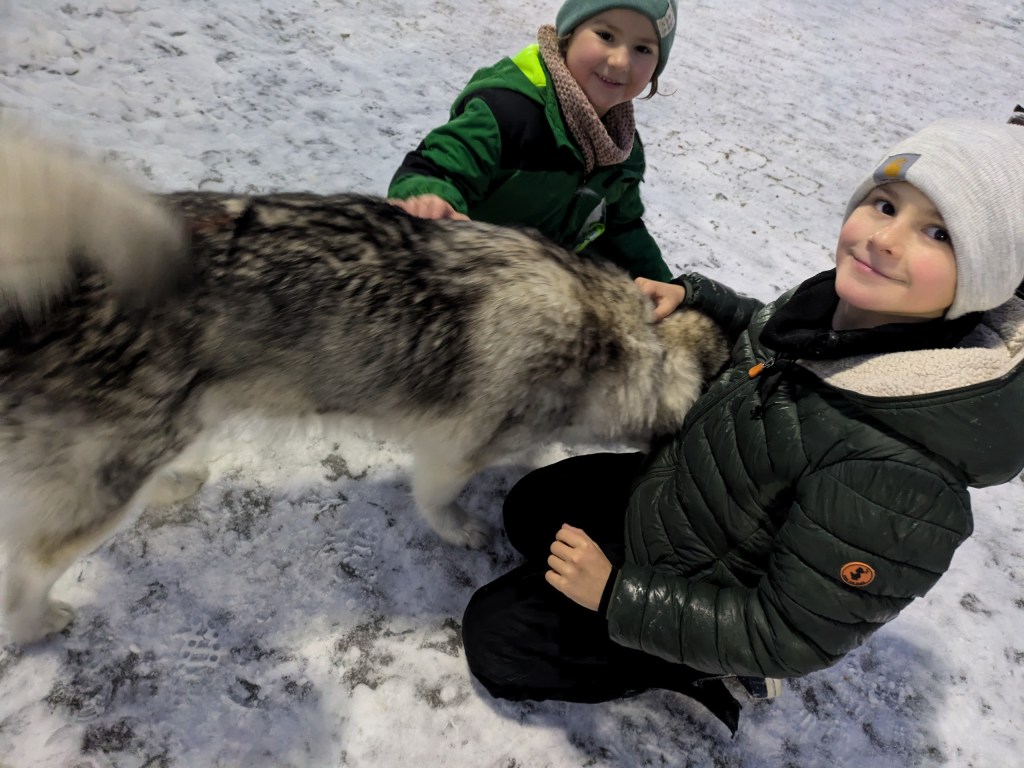 Kids interacting with a husky in Santa Clause Village in Rovaniemi, Lapland, Finland.