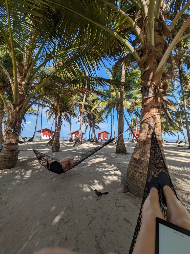 carribean island with palm trees and small houses, without backpacking problems.