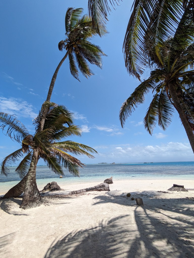 carribean island with palm trees and ocean in the background, without backpacking problems.