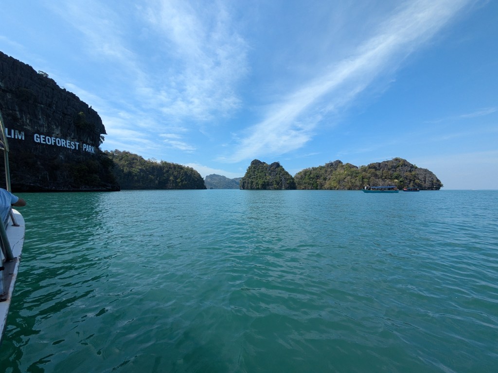 digital nomads in Malasia enjoy a mangrove boat tour in the national park