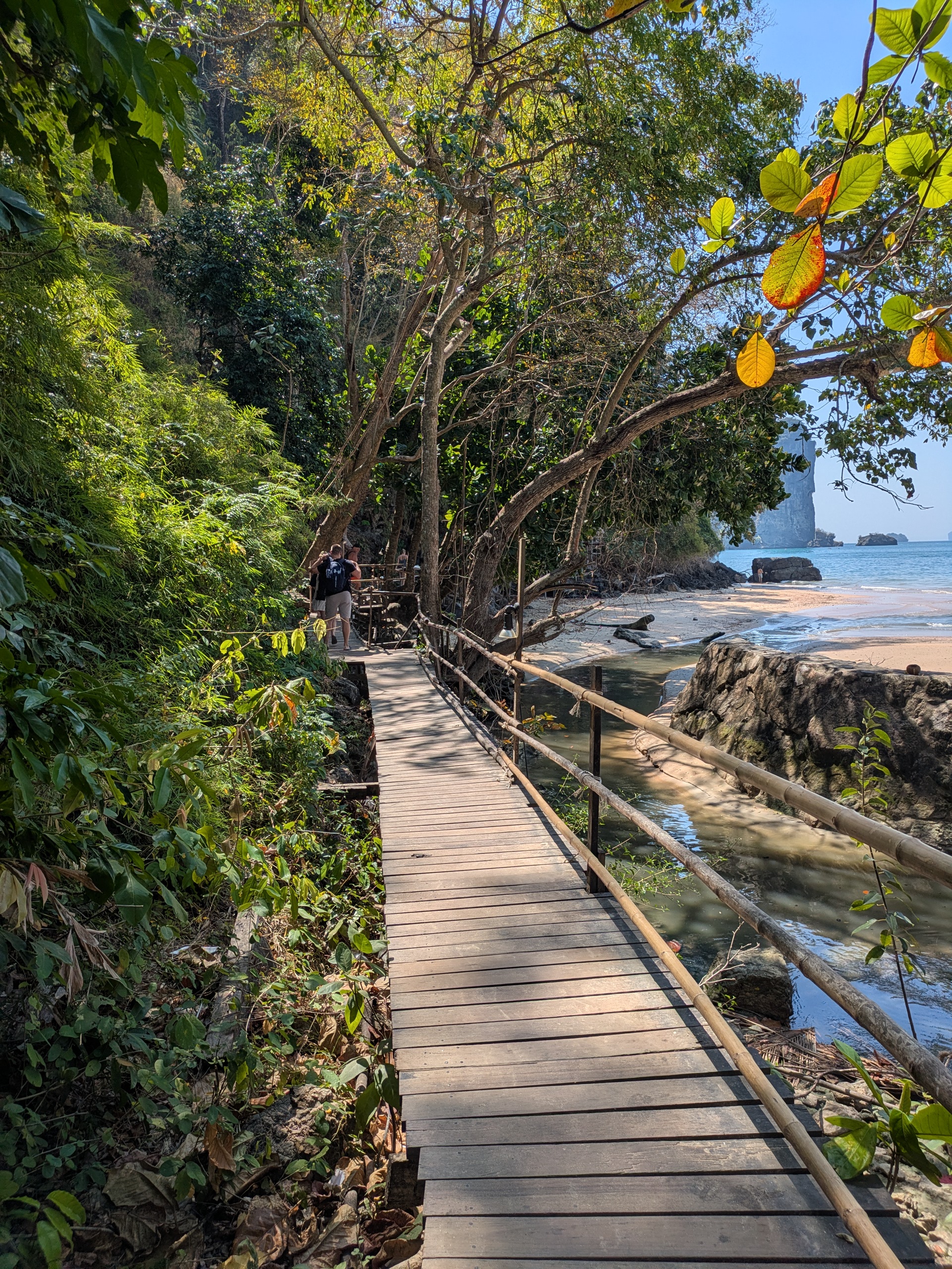 Scenic wooden walkway along the beach in Thailand Krabi – A hidden gem for digital nomads exploring nature.